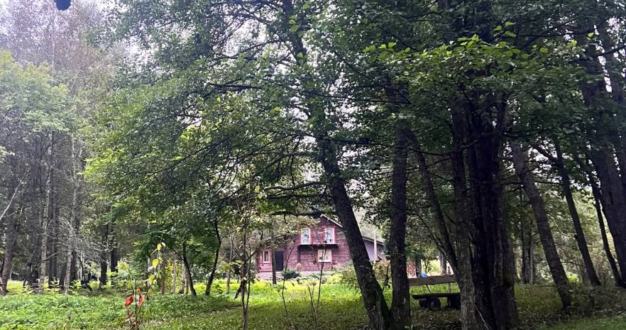 Усадьба Черничка на берегу р. Березина в Витебской области, д. Черничка-4, ул. Грибная, д. 29  изображение 15 - kvartirka.by