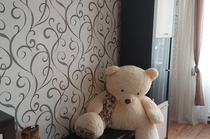 1-Комнатная квартира на сутки в  Минске,  Солнечная ул., 29    изображение 1 - kvartirka.by