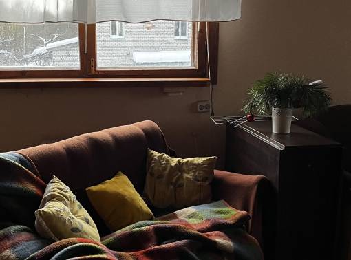 Звездная усадьба рядом с Оршей - kvartirka.by