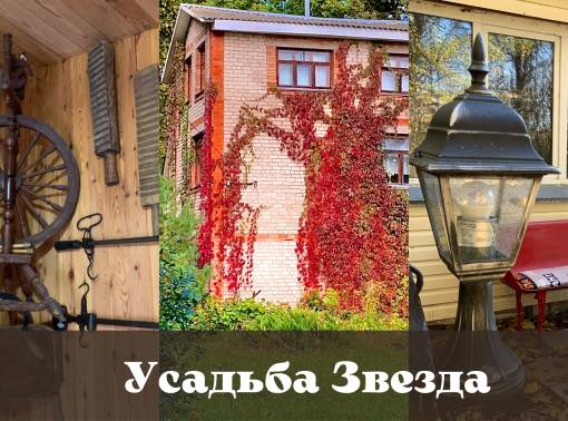 Звездная усадьба рядом с Оршей - kvartirka.by