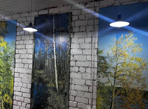 Звездная усадьба рядом с Оршей - kvartirka.by