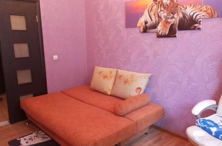 2-Комнатная квартира на ночь в  Витебске,  Некрасова ул., 1    изображение 23 - kvartirka.by