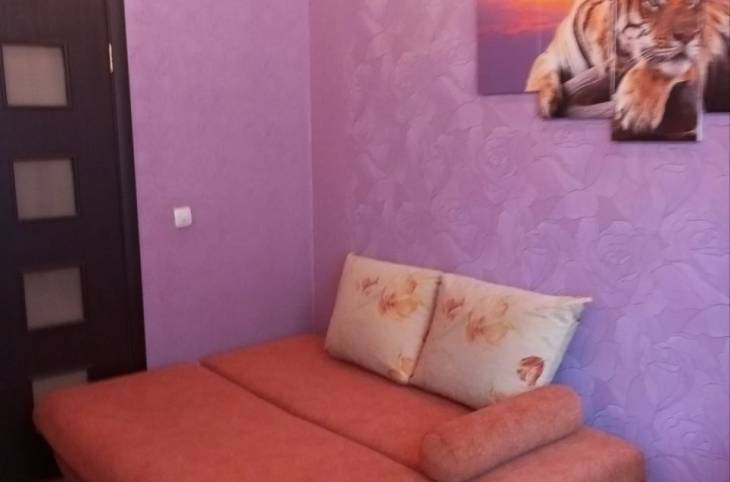 2-Комнатная квартира на ночь в  Витебске,  Некрасова ул., 1    изображение 24 - kvartirka.by