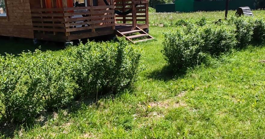 У Татьяны в Витебской области, Витебская обл., д. Пристои, д.12  изображение 4 - kvartirka.by
