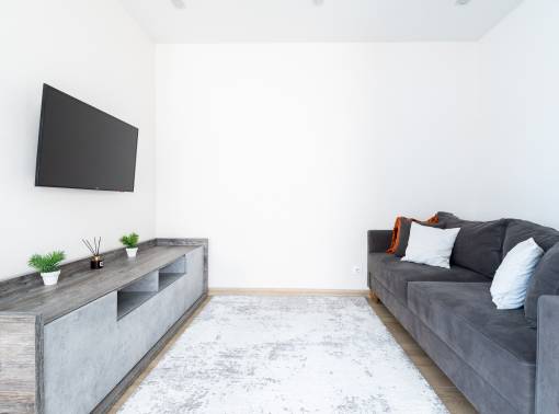 1-комнатная квартира на сутки. Центр. Новый дом. Кондиционер. Wi-Fi. Кухня объединена с жилой зоной. Отдельная спальня - kvartirka.by