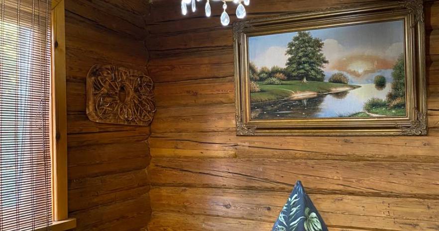 Усадьба Титаник в Витебской области, деревня Пантелейки, улица Центральная, дом 20  изображение 7 - kvartirka.by