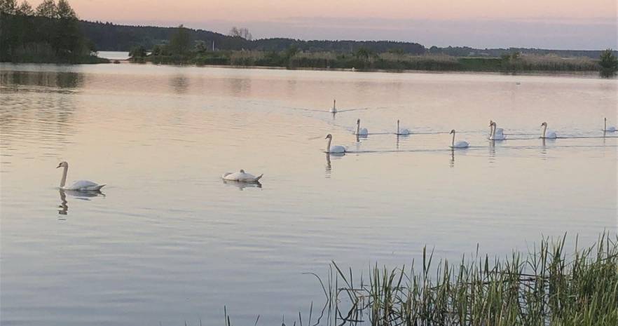 Царское село в Гродненской области, А/г Свислочь, ул. Парковая, дом 24  изображение 11 - kvartirka.by