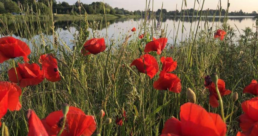 Царское село в Гродненской области, А/г Свислочь, ул. Парковая, дом 24  изображение 33 - kvartirka.by