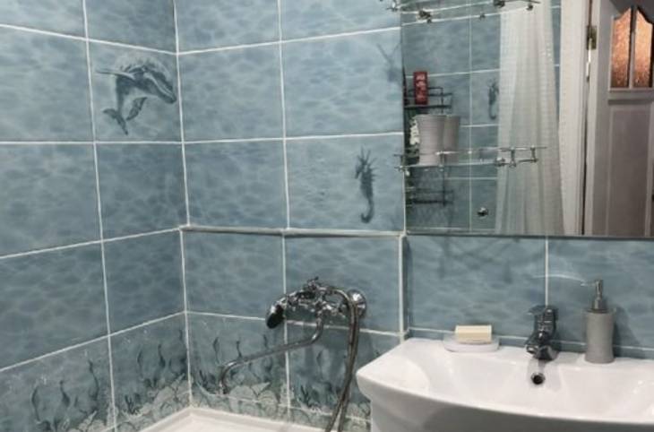 2-Комнатная квартира на сутки в  Гомеле,  Бровки Петруся ул., 37    изображение 8 - kvartirka.by