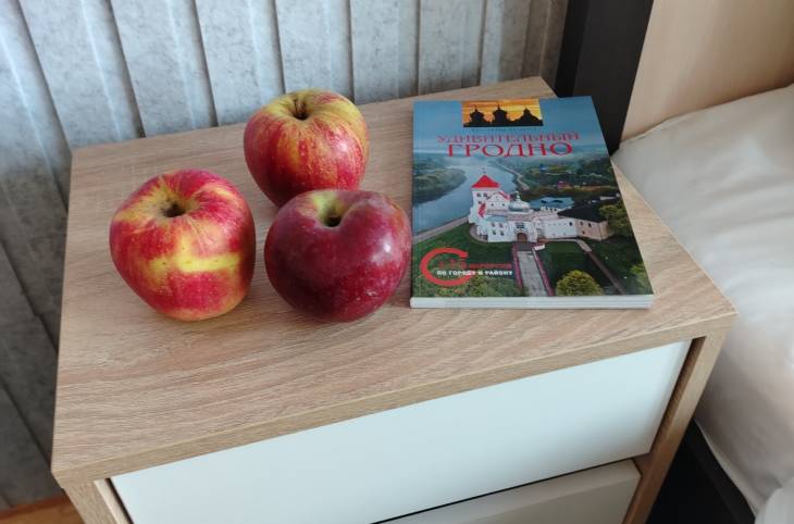 1-Комнатная квартира на ночь в  Гродно,  Городничанская ул., 21    изображение 8 - kvartirka.by