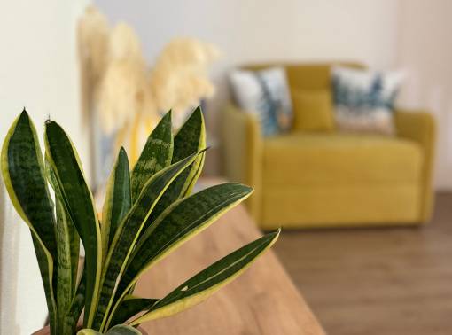 Квартира "Сердце Бреста" №2 - kvartirka.by