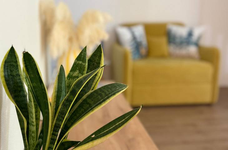 1-Комнатная квартира на сутки в  Бресте,  Комсомольская ул., 23    изображение 2 - kvartirka.by