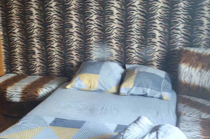 1-Комнатная квартира на сутки в  Гомеле,  Речицкий пр., 42    изображение 14 - kvartirka.by