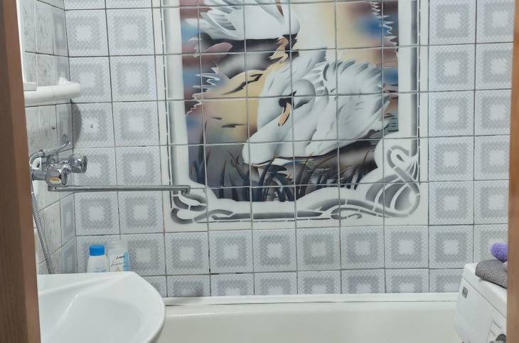 1-Комнатная квартира на сутки в  Гомеле,  Речицкий пр., 42    изображение 21 - kvartirka.by