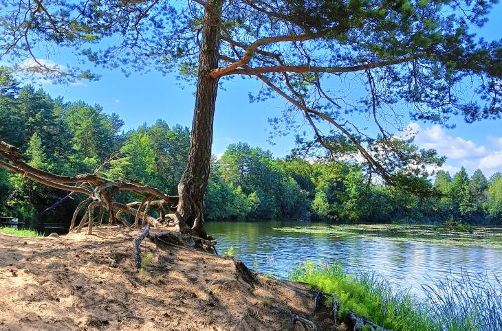 2-Комнатная квартира на сутки в  Витебске,  Молодежная ул., 6а    изображение 10 - kvartirka.by