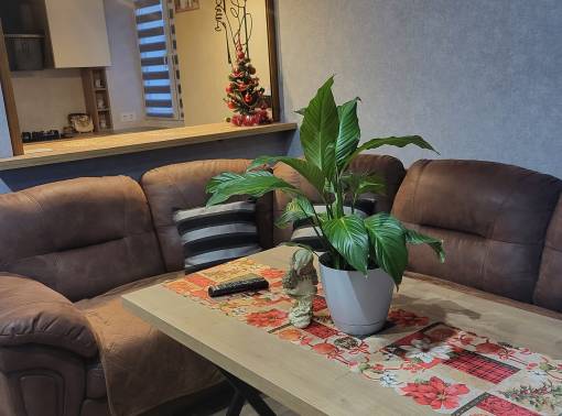 Однокомнатная квартира для комфорта - kvartirka.by