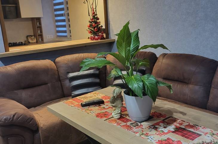 1-Комнатная квартира на час в  Гродно,  Лидская ул., 19    изображение 1 - kvartirka.by