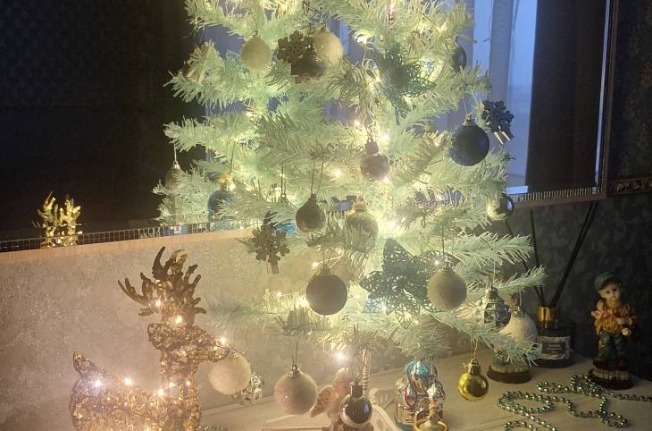 1-Комнатная квартира на сутки в  Витебске,  Правды ул., 66К    изображение 10 - kvartirka.by