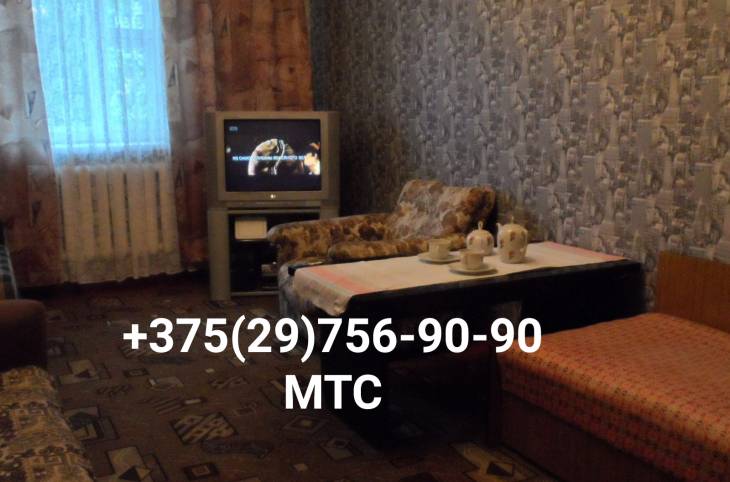 2-Комнатная квартира на сутки в  Барановичах,  1-й Водопроводный пер., 15    изображение 1 - kvartirka.by