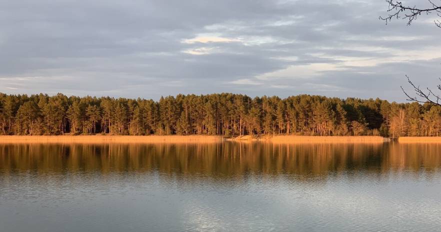 Мечта в Гродненской области, аг. Поречье, ул. Озерская, 16  изображение 20 - kvartirka.by