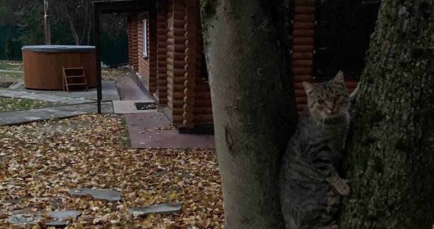 Мечта в Гродненской области, аг. Поречье, ул. Озерская, 16  изображение 24 - kvartirka.by