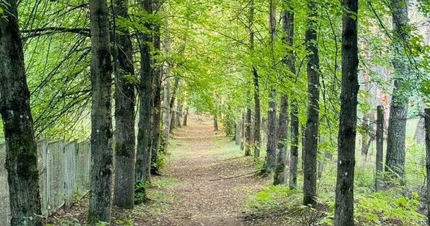 Мечта в Гродненской области, аг. Поречье, ул. Озерская, 16  изображение 25 - kvartirka.by