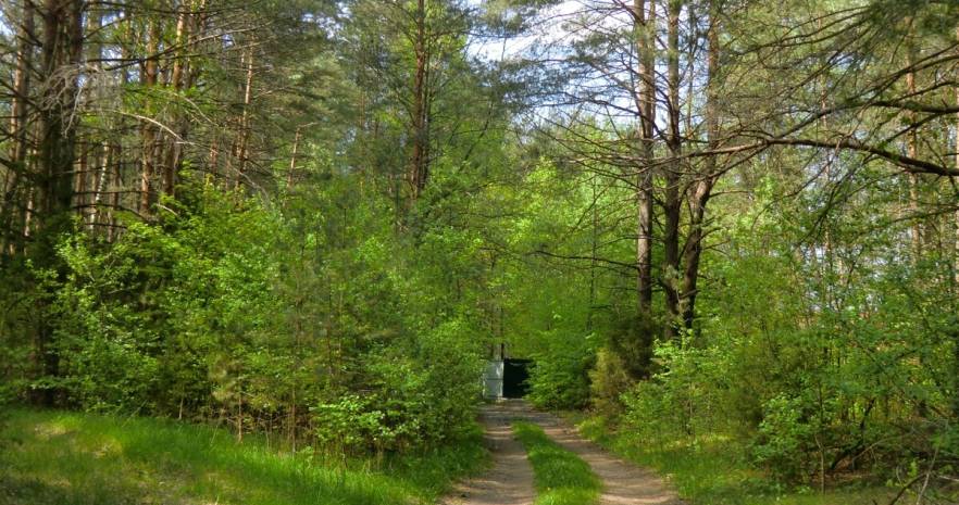Мечта в Гродненской области, аг. Поречье, ул. Озерская, 16  изображение 41 - kvartirka.by