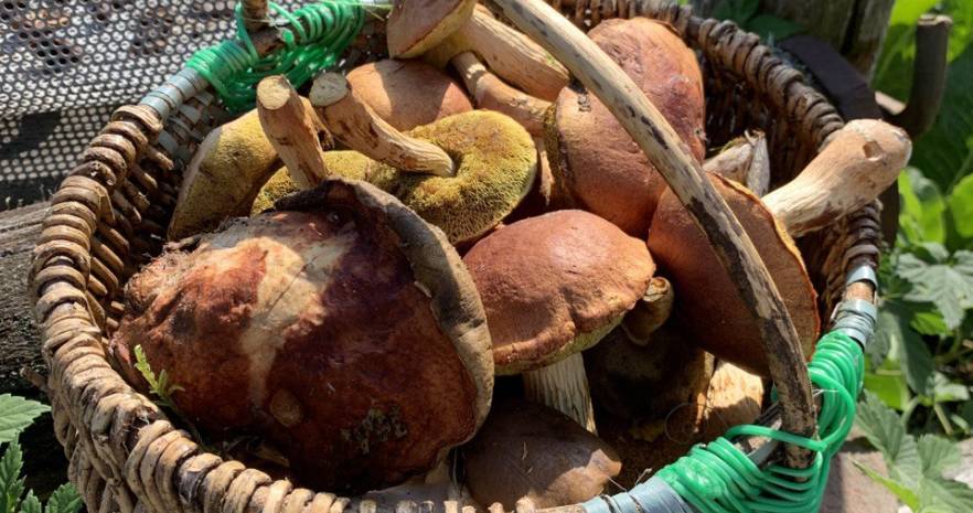 Шале "Можжевеловое" для отдыха с русской банькой в Беловежской пуще в Брестской области, дер. Чабахи, ул. Лесная, д.21  изображение 22 - kvartirka.by