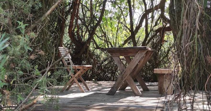 Шале "Лесное" в Беловежской пуще  с выходом в грибной лес  в Брестской области, ул. Лесная, д.15  изображение 19 - kvartirka.by