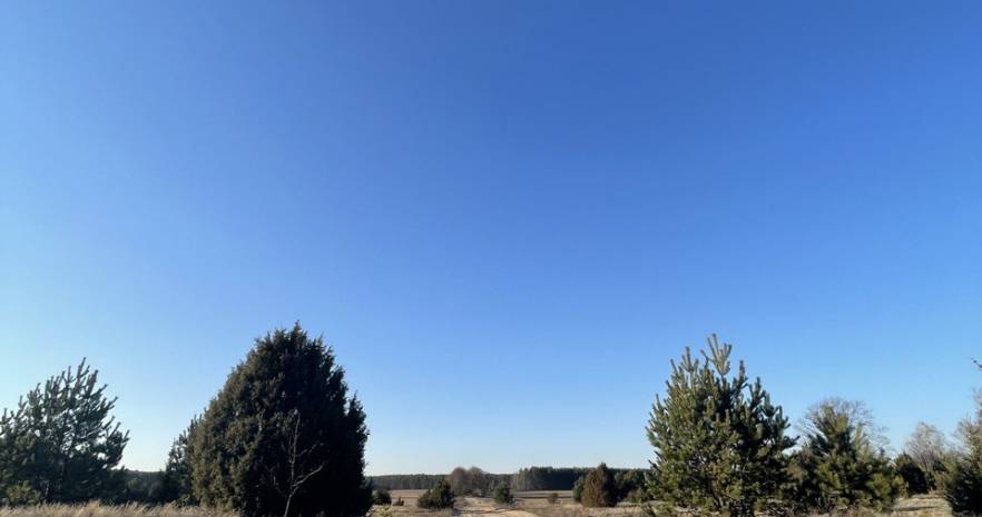 Шале "Лесное" в Беловежской пуще  с выходом в грибной лес  в Брестской области, ул. Лесная, д.15  изображение 13 - kvartirka.by