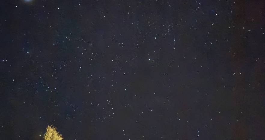 Шале "Лесное" в Беловежской пуще  с выходом в грибной лес  в Брестской области, ул. Лесная, д.15  изображение 12 - kvartirka.by