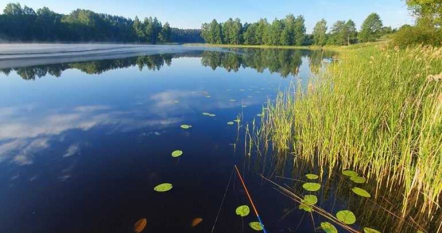 Усадьба "Марусина хата" в Витебской области, д. Замошье, дом 12  изображение 22 - kvartirka.by
