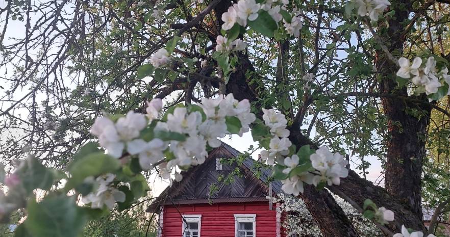 Усадьба "Марусина хата" в Витебской области, д. Замошье, дом 12  изображение 11 - kvartirka.by