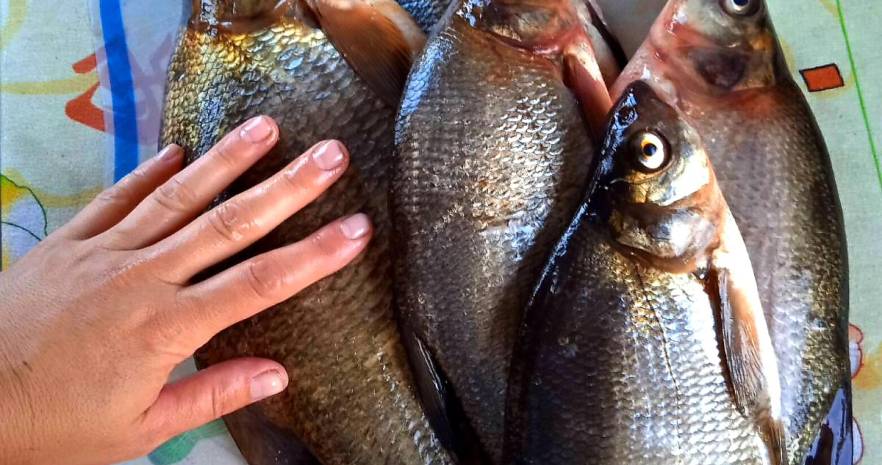 Усадьба "Марусина хата" в Витебской области, д. Замошье, дом 12  изображение 12 - kvartirka.by