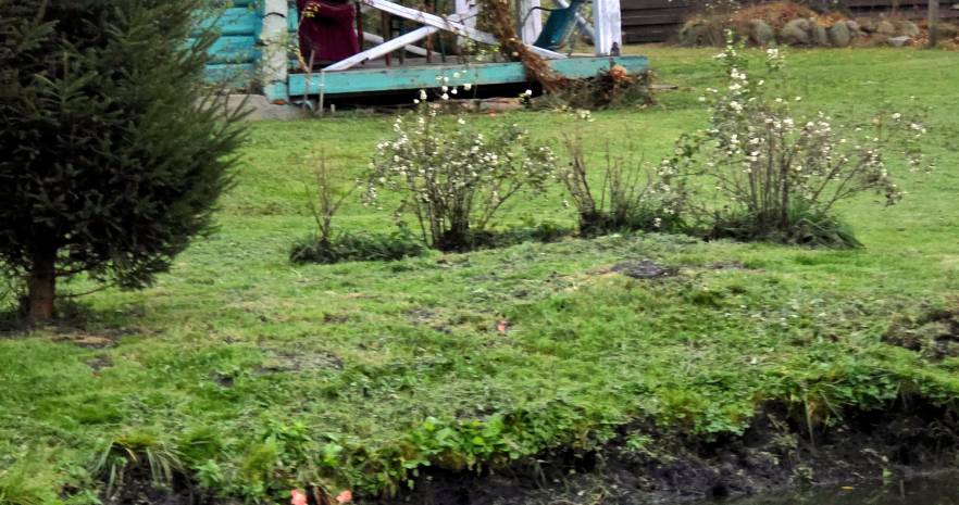 Усадьба "Прованс" в Витебской области, д.Замошье   изображение 1 - kvartirka.by