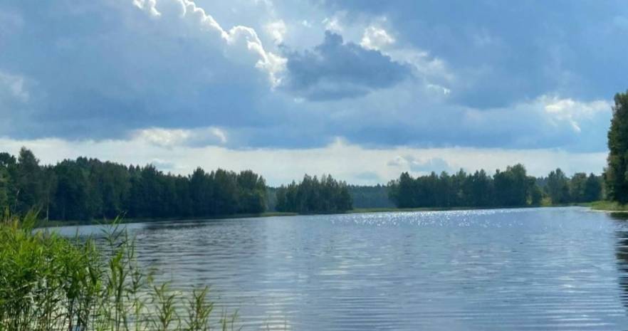 Усадьба "Прованс" в Витебской области, д.Замошье   изображение 17 - kvartirka.by