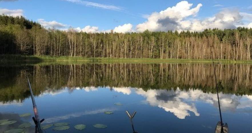 Усадьба на Лесной в Витебской области, д.Ореховно, ул.Лесная, 4  изображение 31 - kvartirka.by