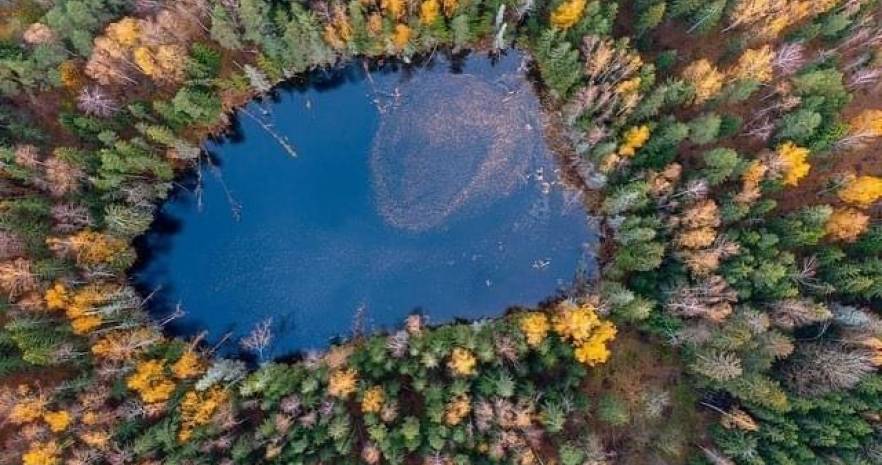 Медвежий угол  в Витебской области, Д. Бобруйщина, ул. Солнечная 2  изображение 23 - kvartirka.by