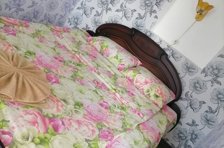 2-Комнатная квартира на сутки в  Орше,  Ленина ул., 30    изображение 2 - kvartirka.by