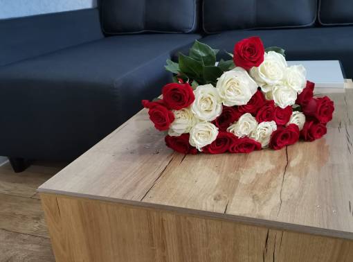 Выбор квартир в центре по разумным ценам  - kvartirka.by