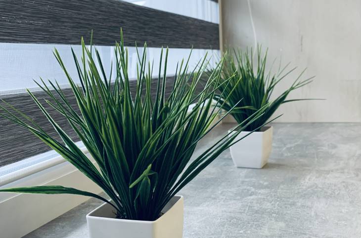 Студия на час в  Могилеве,  Крыленко ул. , 7    изображение 9 - kvartirka.by