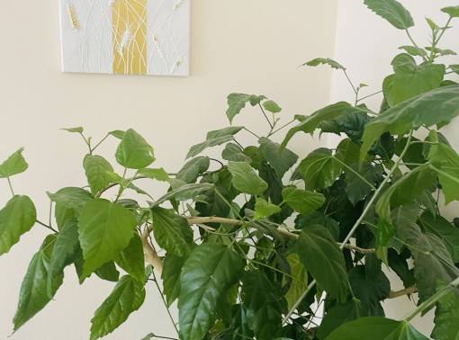 Квартира для вашего комфорта - kvartirka.by