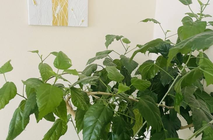 2-Комнатная квартира на сутки в  Новополоцке,  Молодежная ул., 99    изображение 7 - kvartirka.by