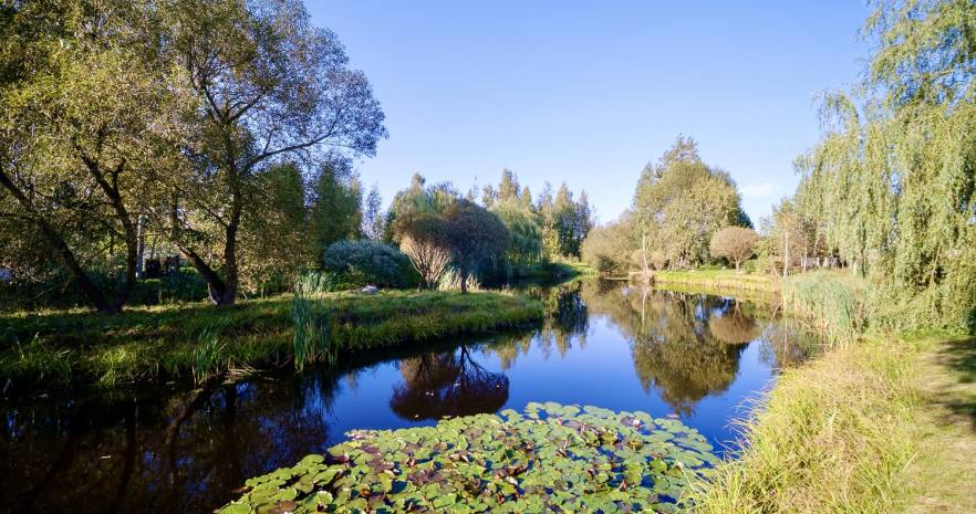 Усадьба VillaChiki в Минской области, д. Чики, ул. Полевая, 21  изображение 42 - kvartirka.by