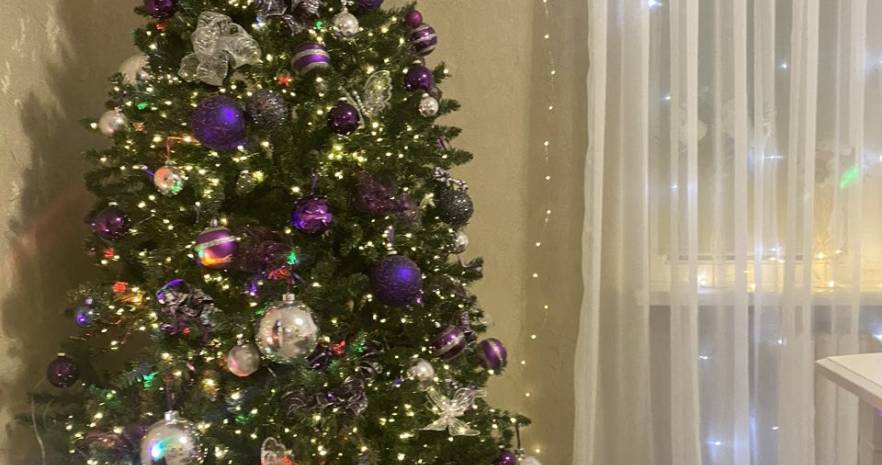 Дворицкая Слобода 38 А. Минск. Малиновка в Минской области, 38А, деревня Дворицкая Слобода, Щомыслицкий сельсовет, Минский район, Минская область  изображение 48 - kvartirka.by