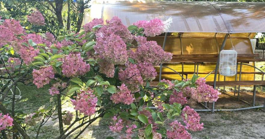 Дворицкая Слобода 38 А. Минск. Малиновка в Минской области, 38А, деревня Дворицкая Слобода, Щомыслицкий сельсовет, Минский район, Минская область  изображение 95 - kvartirka.by