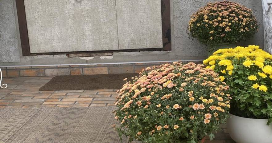 Дворицкая Слобода 38 А. Минск. Малиновка в Минской области, 38А, деревня Дворицкая Слобода, Щомыслицкий сельсовет, Минский район, Минская область  изображение 112 - kvartirka.by