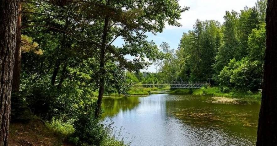 Усадьба Домики в лесу  в Минской области, д.Лихачи, ул. Центральная, 2  изображение 7 - kvartirka.by