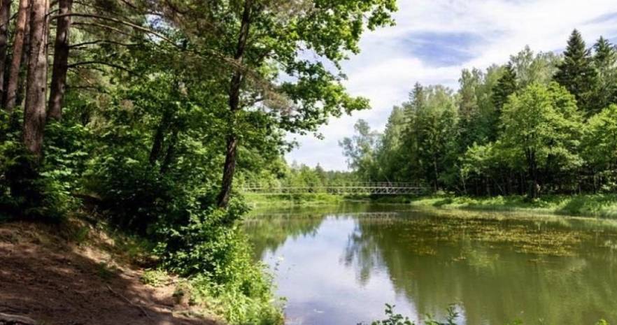 Усадьба Домики в лесу  в Минской области, д.Лихачи, ул. Центральная, 2  изображение 38 - kvartirka.by