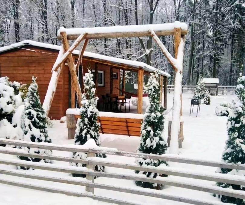 Усадьба " Forest House" в Беловежской пуще  - kvartirka.by